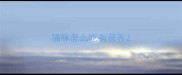 猫咪怎么吃有营养