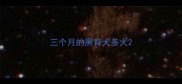 三个月的黑背犬多大