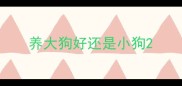 养大狗好还是小狗