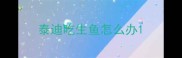 泰迪吃生鱼怎么办