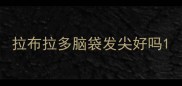 拉布拉多脑袋发尖好吗