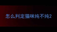 怎么判定猫咪纯不纯