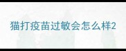 猫打疫苗过敏会怎么样