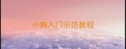 小狗入门示范教程