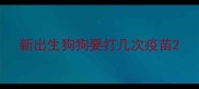 新出生狗狗要打几次疫苗
