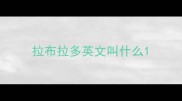 拉布拉多英文叫什么