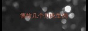 德牧几个月吃生肉