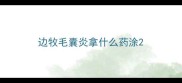 边牧毛囊炎拿什么药涂