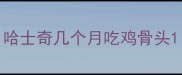 哈士奇几个月吃鸡骨头