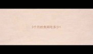3个月的贵宾吃多少