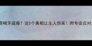 哈士奇啃牙成瘾这5个真相让主人惊呆附专业应对指南