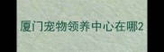 厦门宠物领养中心在哪