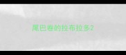 尾巴卷的拉布拉多
