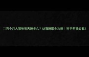 两个月大猫咪每天睡多久幼猫睡眠全攻略科学养猫必看