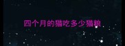 四个月的猫吃多少猫粮