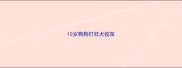 10岁狗狗打狂犬疫苗
