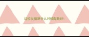 边牧发情期什么时候配最好