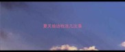 夏天给边牧洗几次澡