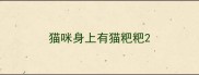 猫咪身上有猫粑粑