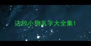 边牧小狗名字大全集