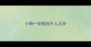 小狗一岁相当于人几岁