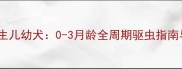 科学养护新生儿幼犬0-3月龄全周期驱虫指南与用药误区