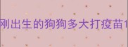 刚出生的狗狗多大打疫苗