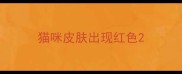 猫咪皮肤出现红色