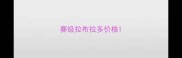 赛级拉布拉多价格