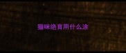 猫咪绝育用什么涂