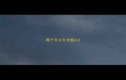 两个月斗牛犬细小