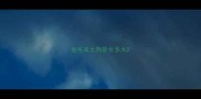 金毛串土狗能长多大