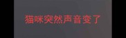 猫咪突然声音变了