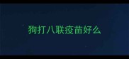 狗打八联疫苗好么