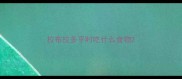 拉布拉多平时吃什么食物