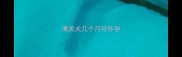 博美犬几个月可怀孕