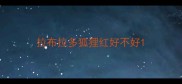 拉布拉多狐狸红好不好