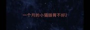 一个月的小猫肠胃不好