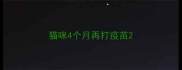 猫咪4个月再打疫苗