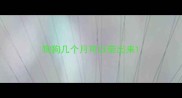 狗狗几个月可以带出来