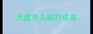 犬瘟多久能打疫苗