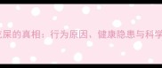 拉布拉多吃屎的真相行为原因健康隐患与科学训练指南