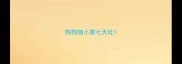 狗狗细小第七天吐