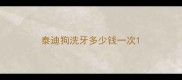 泰迪狗洗牙多少钱一次