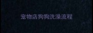 宠物店狗狗洗澡流程