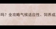 郑州拉布拉多能养吗全攻略气候适应性饲养成本与健康养护指南