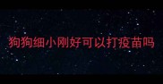 狗狗细小刚好可以打疫苗吗