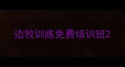 边牧训练免费培训班