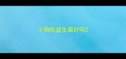 小狗吃益生菌好吗