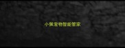 小佩宠物智能管家